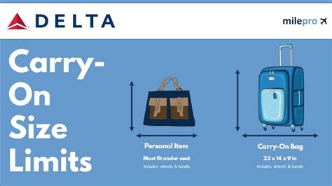 delta checked bag size requirements.